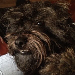 Meet your Posher, Adela